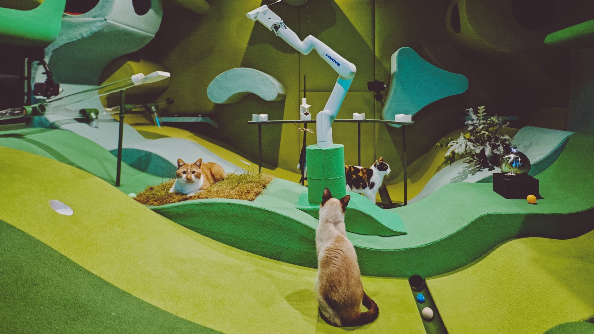 Blast Theory-Cat Royale-Installation-Science Gallery-photo by RULER